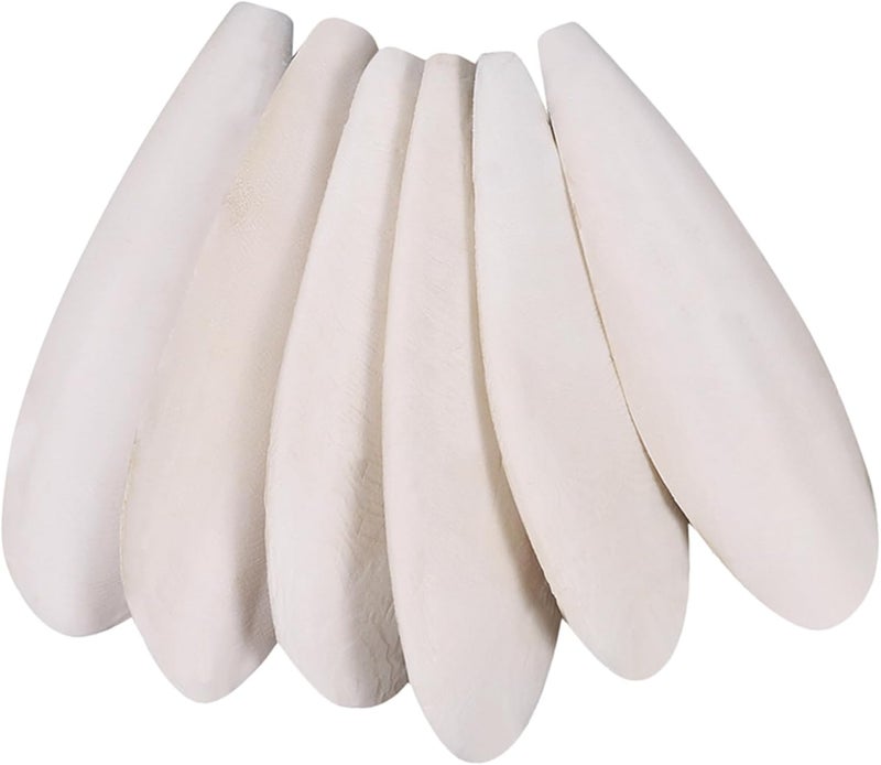 HEQU 6 Pcs Natural Cuttlebone Parakeets Pure Cuttlebone Calcium Stone for Tortoise Parakeets Canaries Cockatiels Turtles Cockatiel 9.5-10.4cm/3.7-4 inch - Image 1